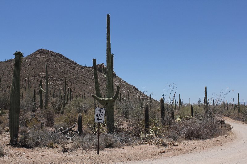 USA 2013 601